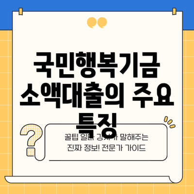 국민행복기금 소액대출의 주요 특징