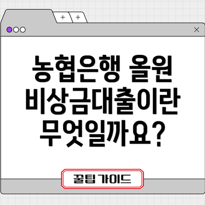 농협은행 올원 비상금대출이란 무엇일까요?