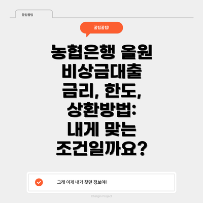 농협은행 올원 비상금대출 금리, 한도, 상환방법:  내게 맞는 조건일까요?