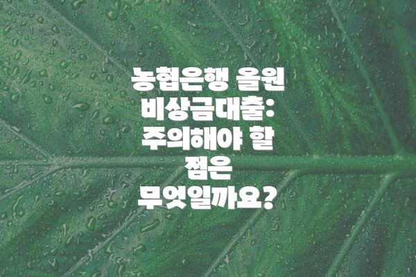 농협은행 올원 비상금대출:  주의해야 할 점은 무엇일까요?