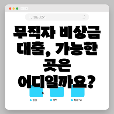 무직자 비상금 대출, 가능한 곳은 어디일까요?