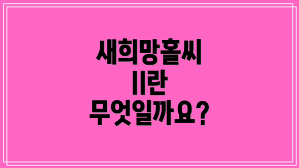새희망홀씨 II란 무엇일까요?