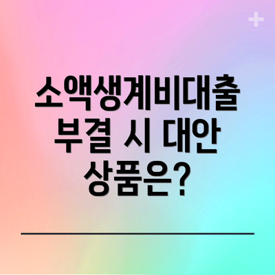 소액생계비대출 부결 시 대안 상품은?