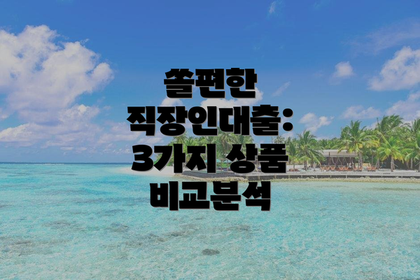 쏠편한 직장인대출: 3가지 상품 비교분석