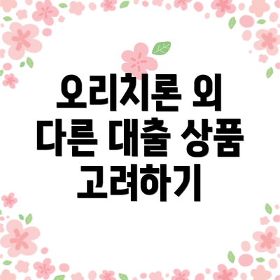 오리치론 외 다른 대출 상품 고려하기