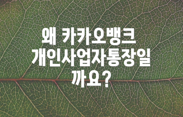 왜 카카오뱅크 개인사업자통장일까요?