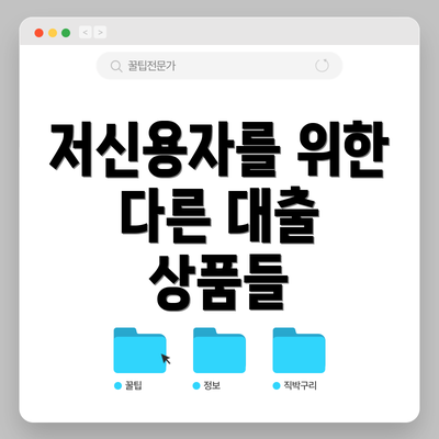 저신용자를 위한 다른 대출 상품들