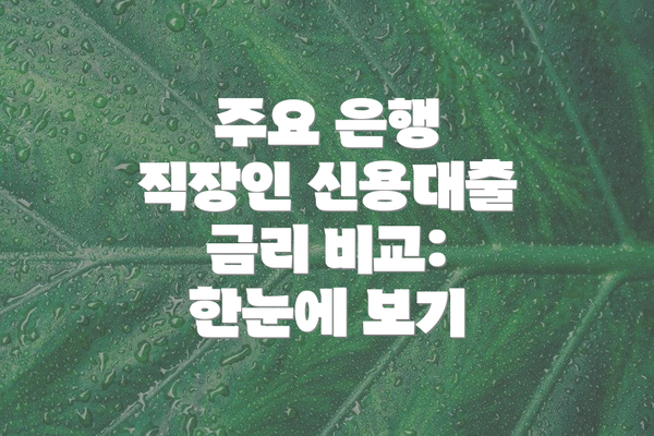 주요 은행 직장인 신용대출 금리 비교: 한눈에 보기