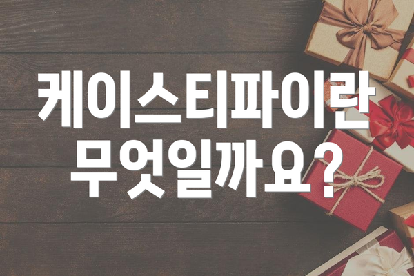 케이스티파이란 무엇일까요?