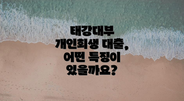 태강대부 개인회생 대출, 어떤 특징이 있을까요?