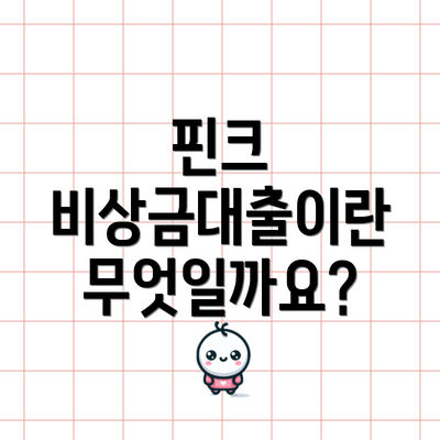 핀크 비상금대출이란 무엇일까요?