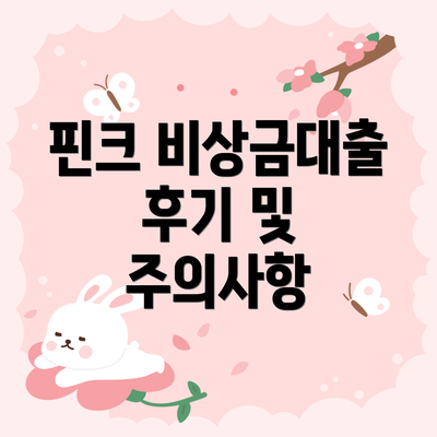 핀크 비상금대출 후기 및 주의사항
