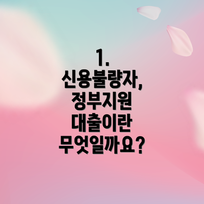 1. 신용불량자, 정부지원 대출이란 무엇일까요?