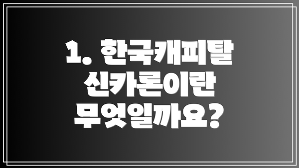 1. 한국캐피탈 신카론이란 무엇일까요?