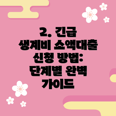 2. 긴급 생계비 소액대출 신청 방법: 단계별 완벽 가이드
