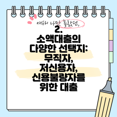 2.  소액대출의 다양한 선택지: 무직자, 저신용자, 신용불량자를 위한 대출