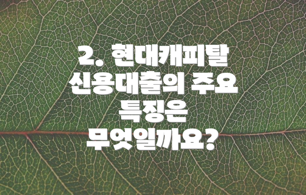 2. 현대캐피탈 신용대출의 주요 특징은 무엇일까요?
