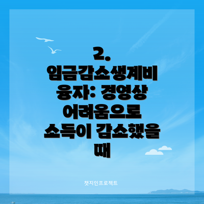 2. 임금감소생계비 융자: 경영상 어려움으로 소득이 감소했을 때