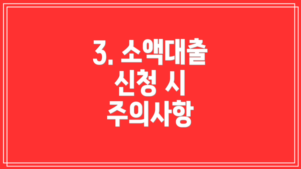 3. 소액대출 신청 시 주의사항