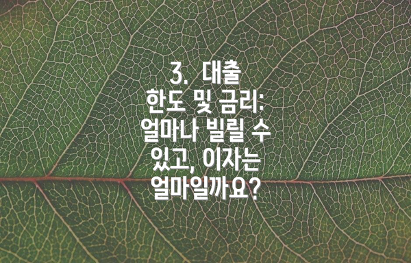 3.  대출 한도 및 금리: 얼마나 빌릴 수 있고, 이자는 얼마일까요?