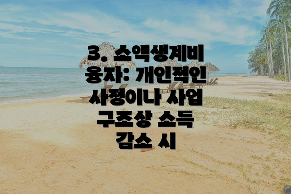 3. 소액생계비 융자: 개인적인 사정이나 사업 구조상 소득 감소 시