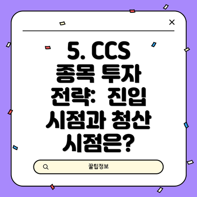 5. CCS 종목 투자 전략: 진입 시점과 청산 시점은?