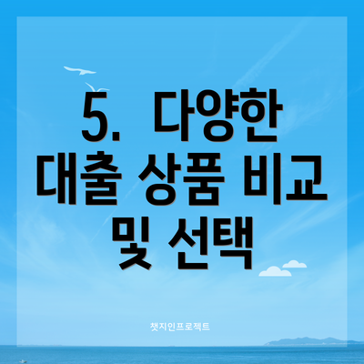 5.  다양한 대출 상품 비교 및 선택