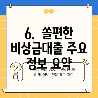 6.  쏠편한 비상금대출 주요 정보 요약