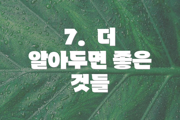 7.  더 알아두면 좋은 것들