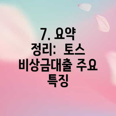 7. 요약 정리:  토스 비상금대출 주요 특징