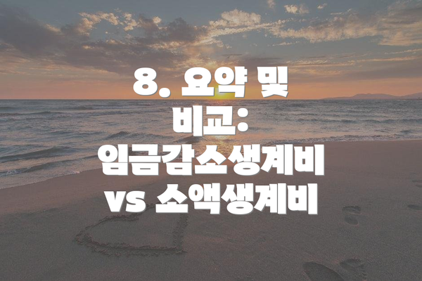 8. 요약 및 비교: 임금감소생계비 vs 소액생계비