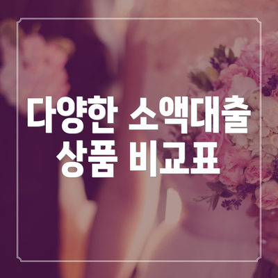 다양한 소액대출 상품 비교표