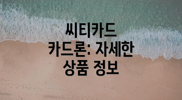 씨티카드 카드론: 자세한 상품 정보