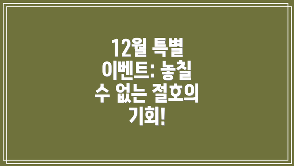 12월 특별 이벤트: 놓칠 수 없는 절호의 기회!