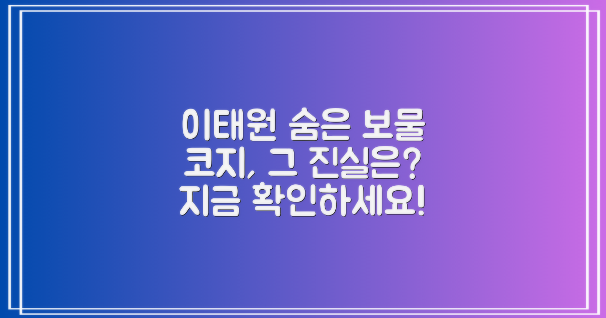 코지 이태원, 진짜 숨겨진 보물일까?