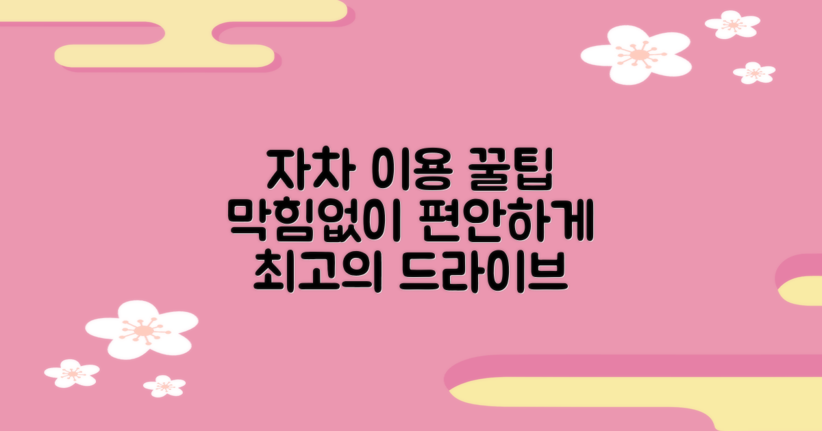 자가용 이용 시 팁