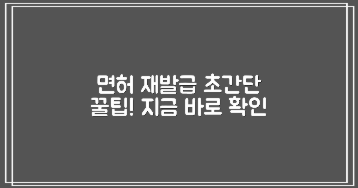 면허 재발급, 간편함 탐구