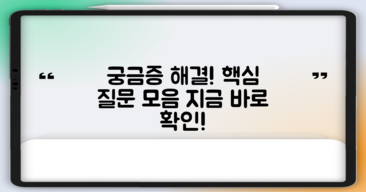 자주 묻는 질문