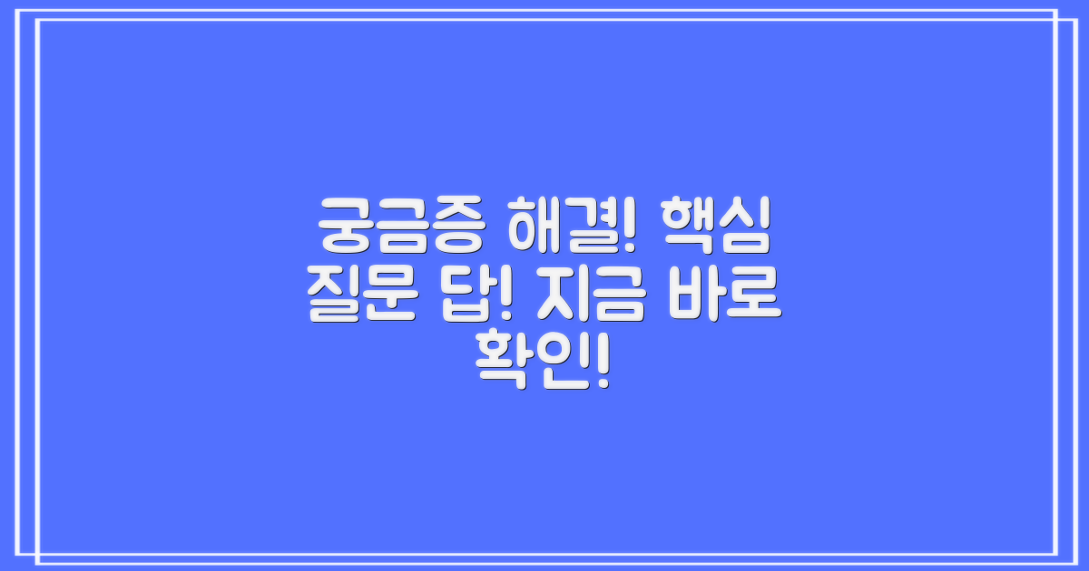 자주 묻는 질문