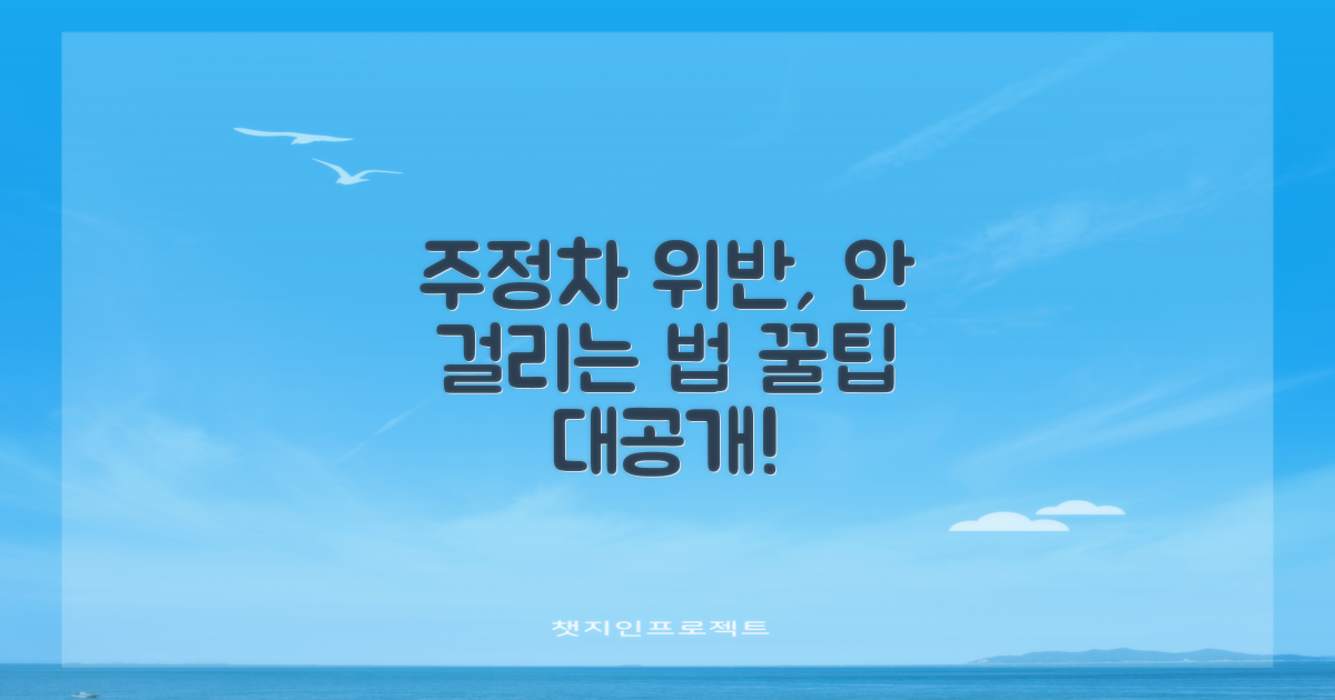 주정차 위반, 어떻게 피할까요?