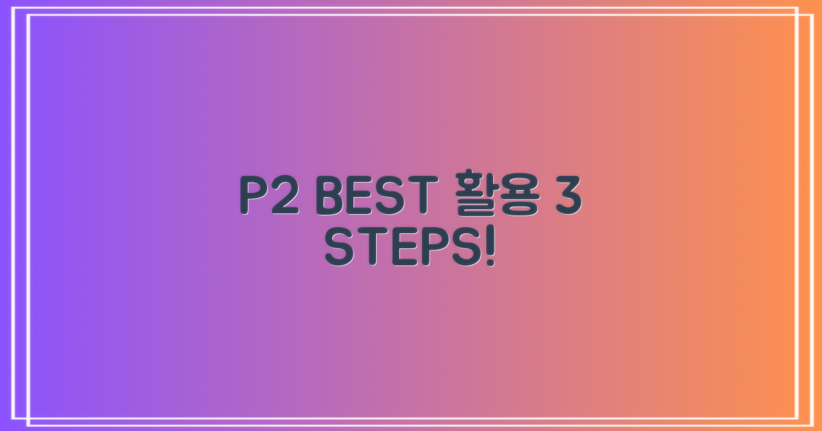 P2 최적 이용 3단계