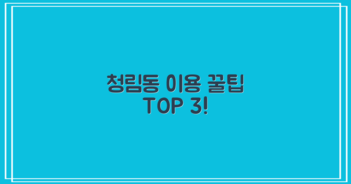 청림동 이용 3가지 필수 팁!