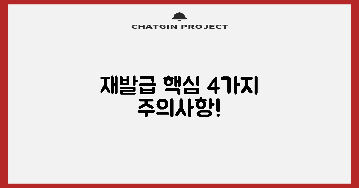 재발급 4가지 핵심 주의사항