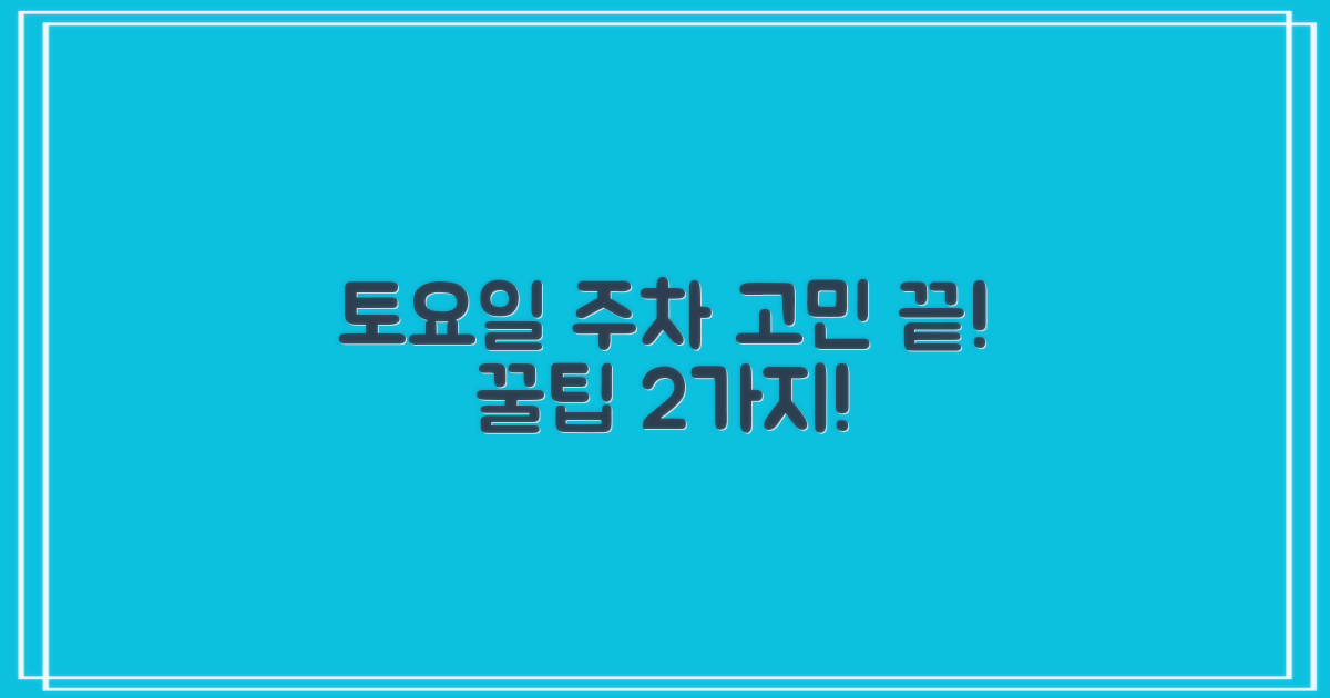 토요일 주차 2가지 꿀팁